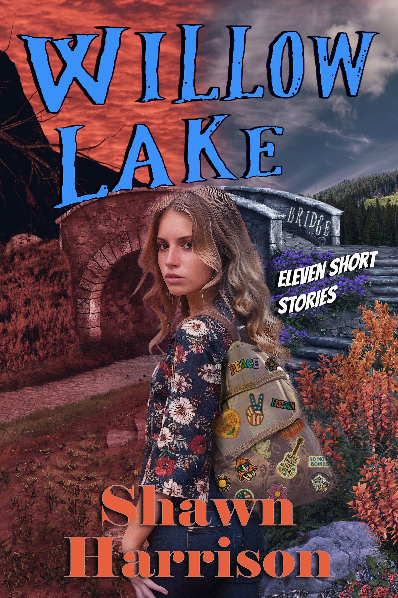 Willow Lake - B+ridge Book Cover