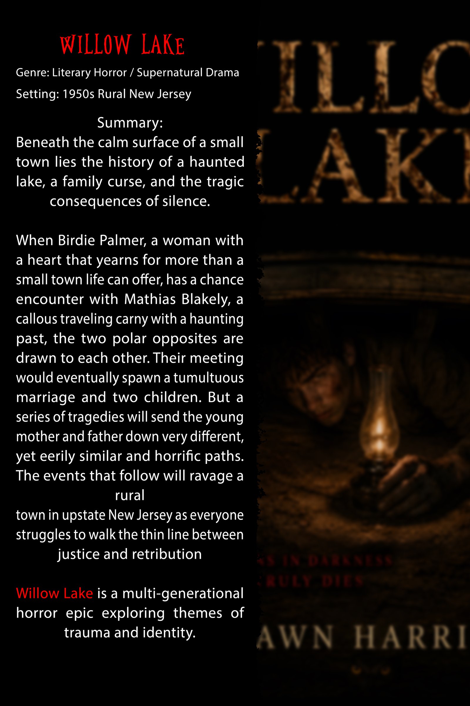 Promotional one-sheet for Willow Lake with synopsis artwork
