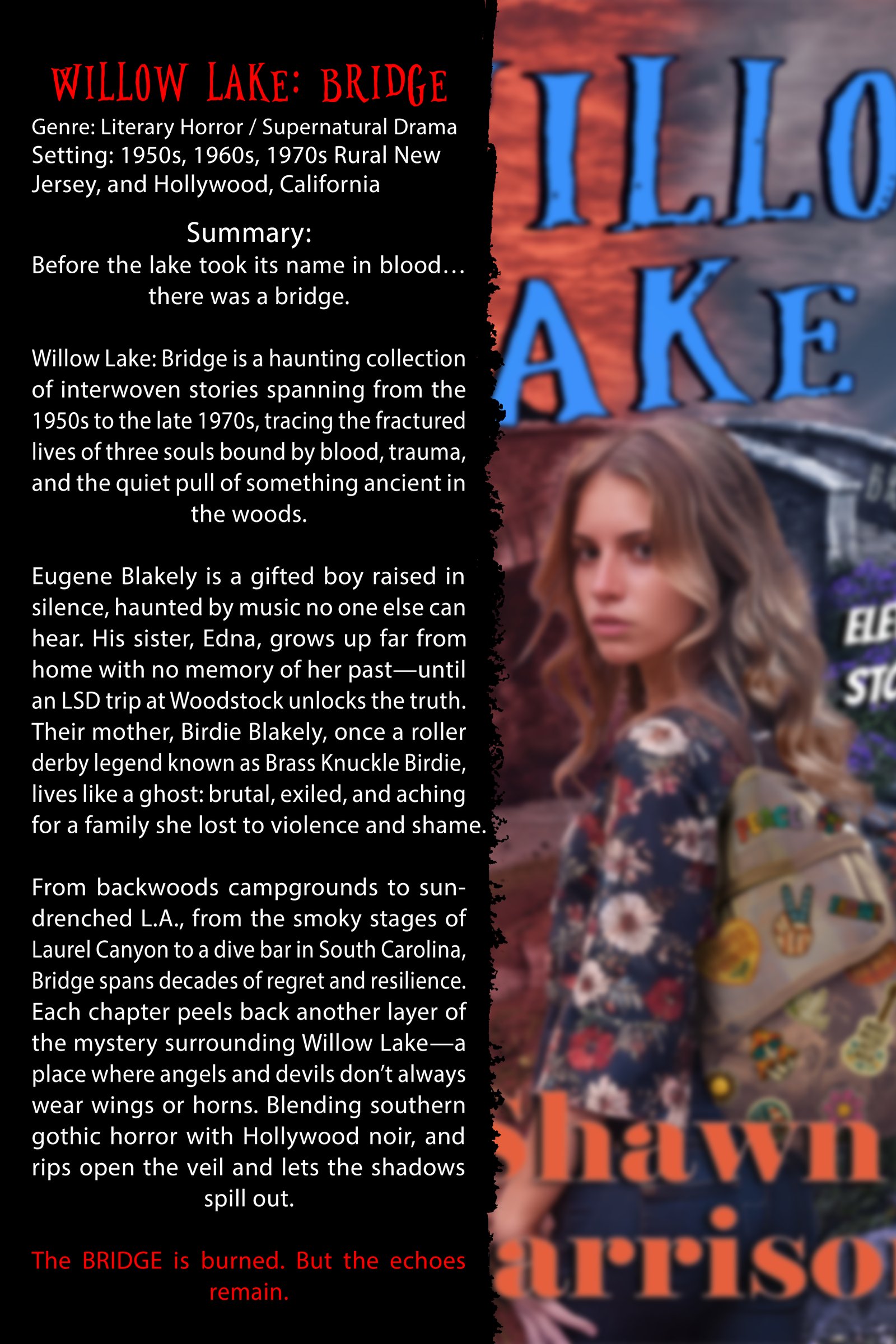 Promotional one-sheet for Willow Lake: Bridge with synopsis artwork