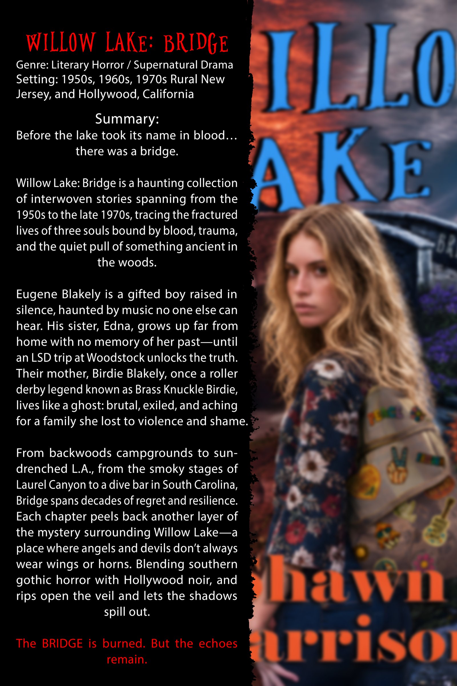 Promotional one-sheet for Willow Lake: Bridge with synopsis artwork